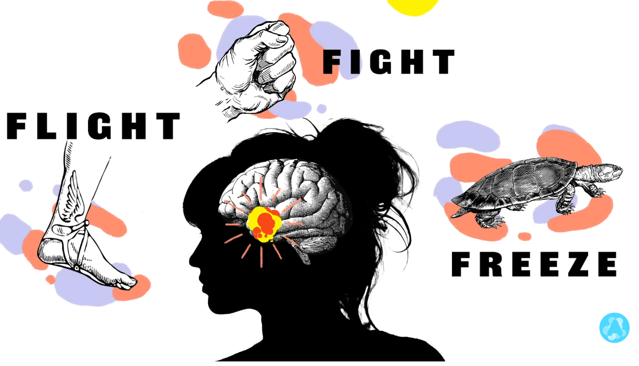 For Adolescents: Fight Flight Freeze – Anxiety Explained For Teens